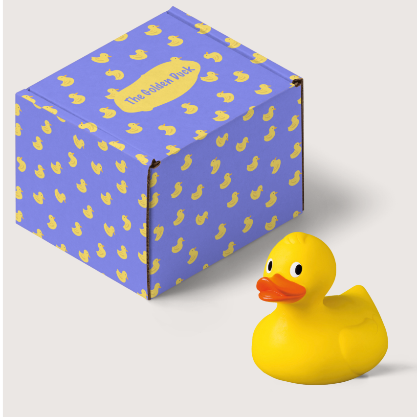 Aangepaste speelgoed verpakking dozen voor merk retail en e-commerce verpakking