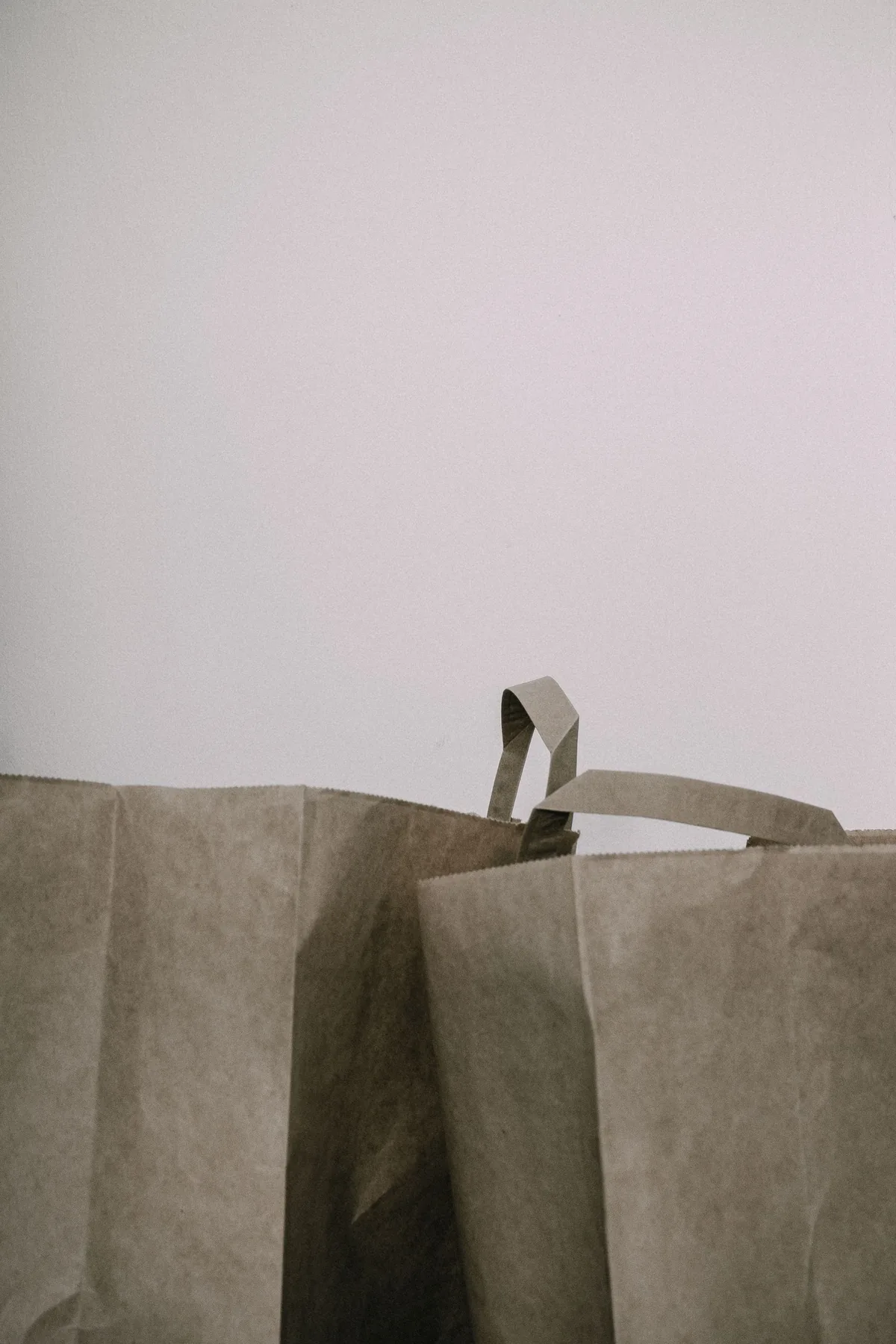 Unbranded brown paper shopping bags photographed against a white wall
