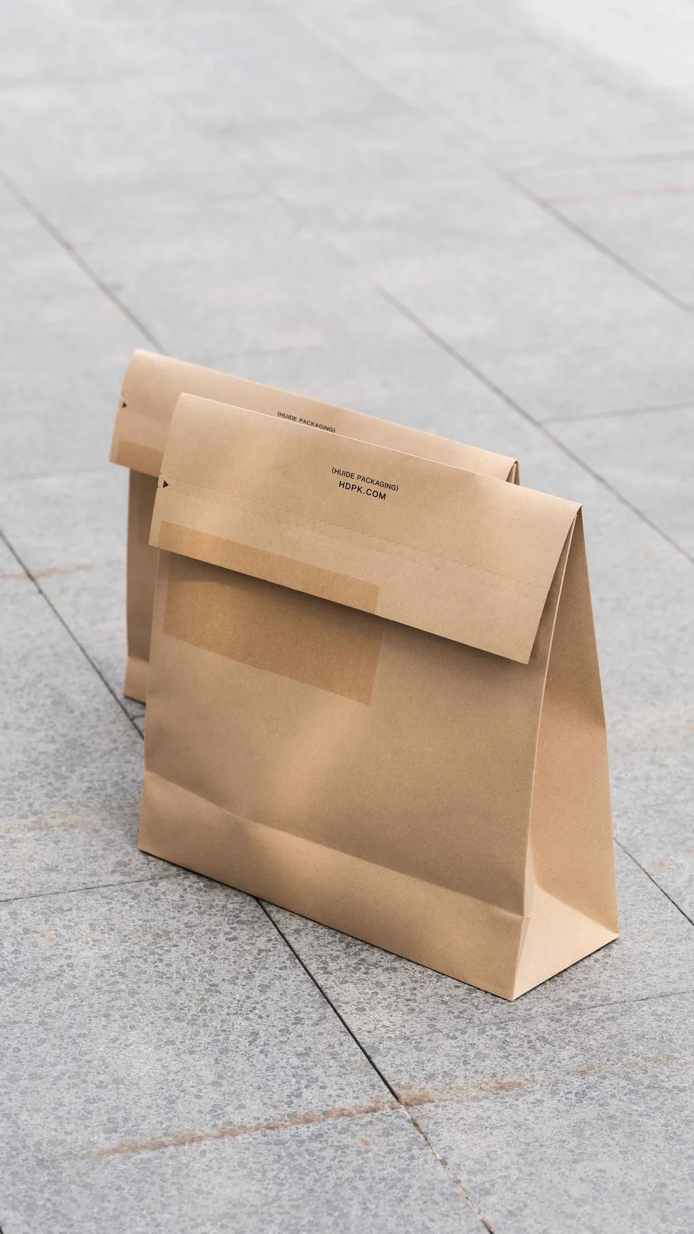 Two kraft paper bags photographed in natural outdoor light