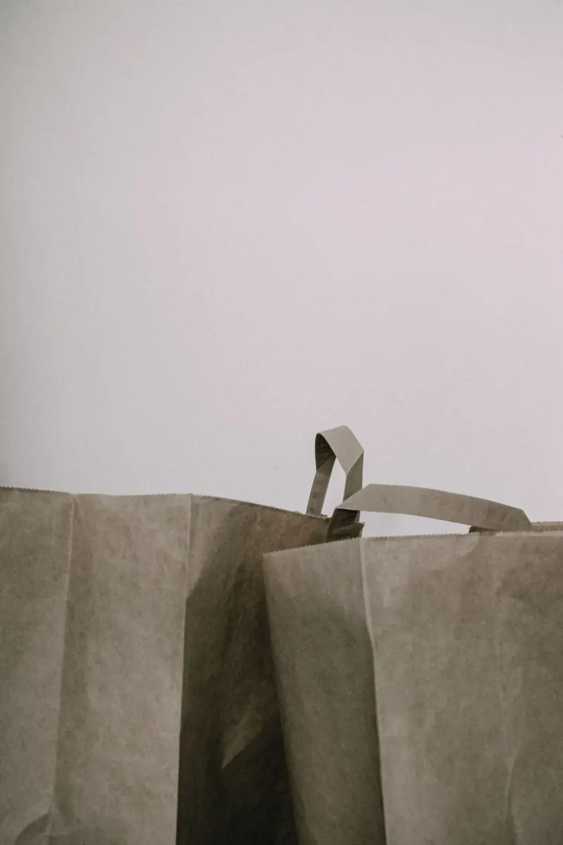 Unbranded brown paper shopping bags photographed against a white wall